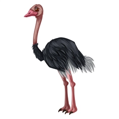 Jungle Safari Giant Ostrich Transparent Sticker
